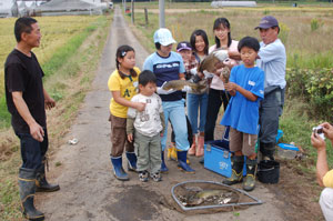 子供会育成会で用排水路の生物調査（コイやナマズ、フナ、タナゴ、食用ガエルが棲息